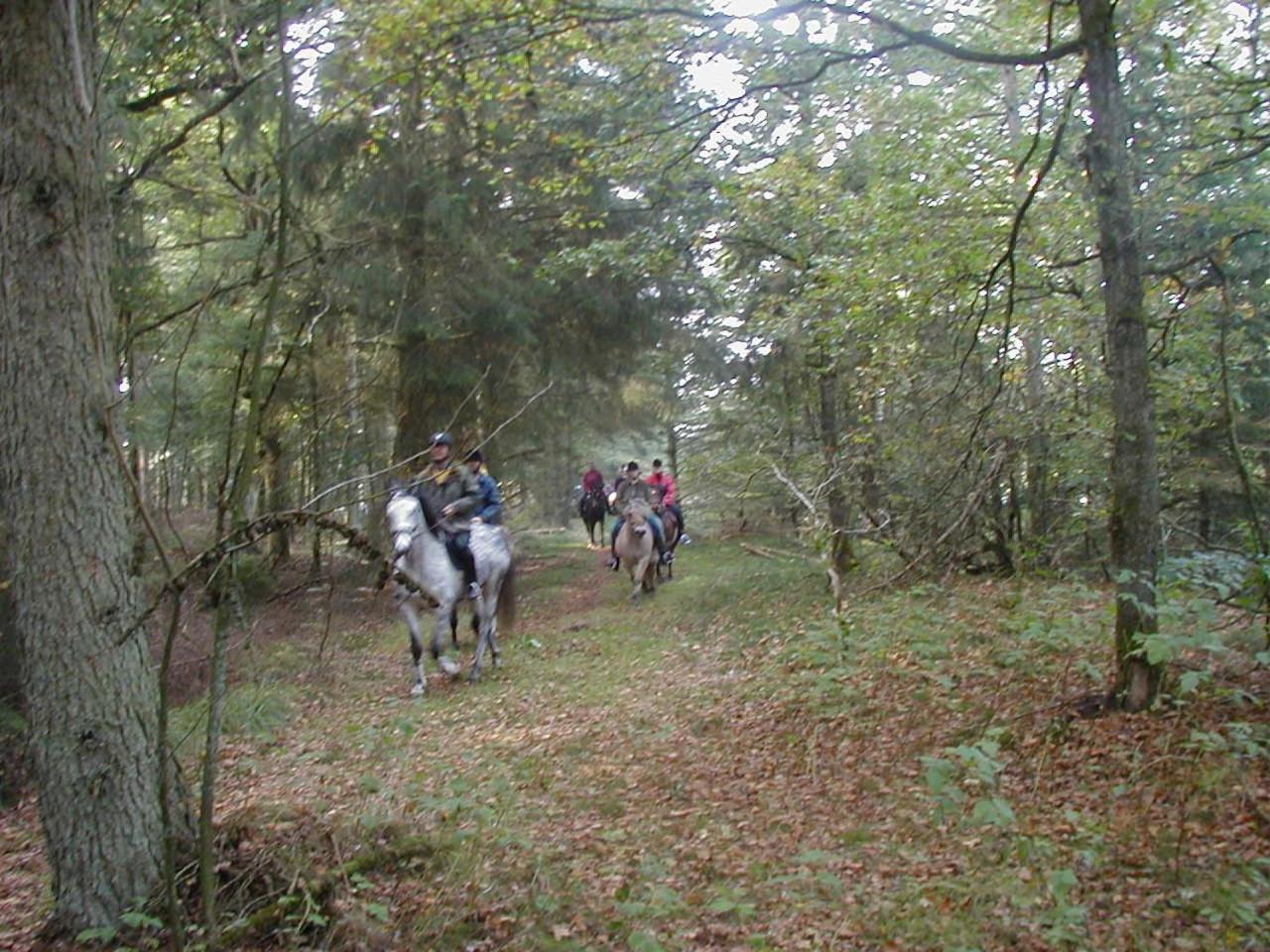 Reiterhof Wollesen 3* Süderlügum